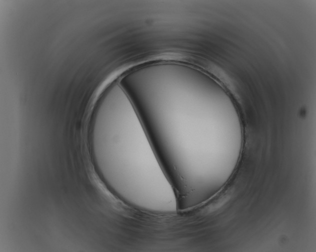 X0000093510939200710121100