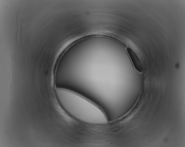 X0000093510940200710121100