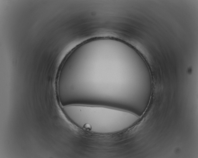 X0000093510943200710121100