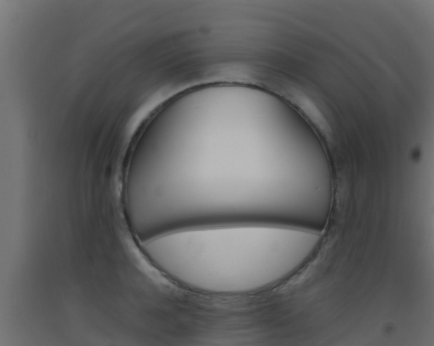 X0000093510944200710121100