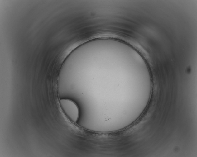 X0000093510945200710121100