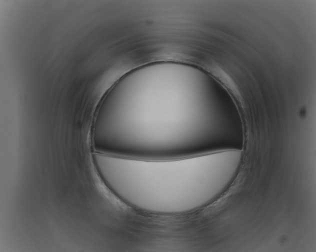 X0000093510946200710121100