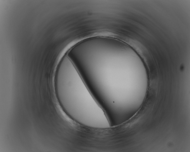 X0000093510947200710121100
