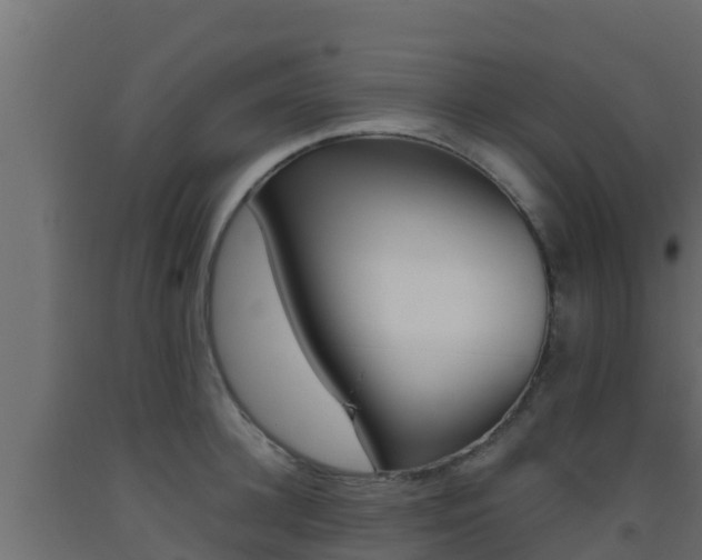 X0000093510948200710121100