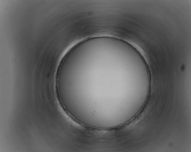 X0000093510949200710121100