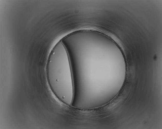 X0000093510951200710121100