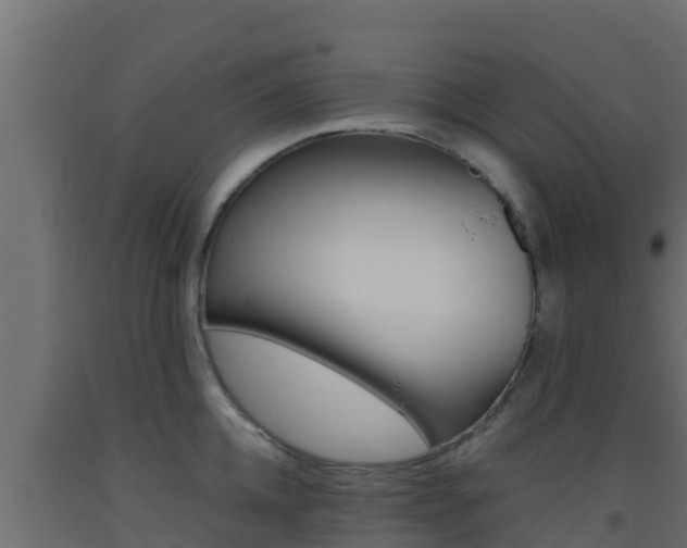 X0000093510952200710121100
