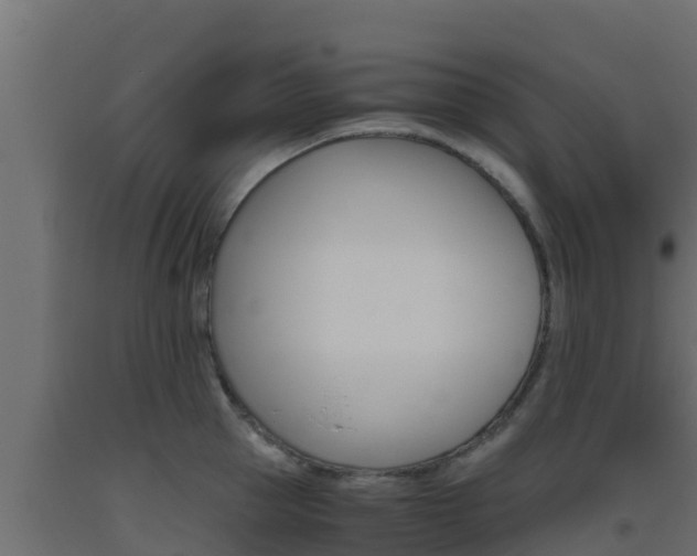 X0000093510953200710121100