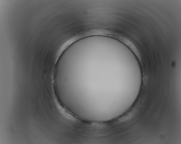 X0000093510954200710121100