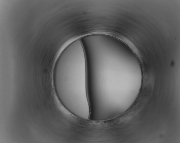 X0000093510955200710121100