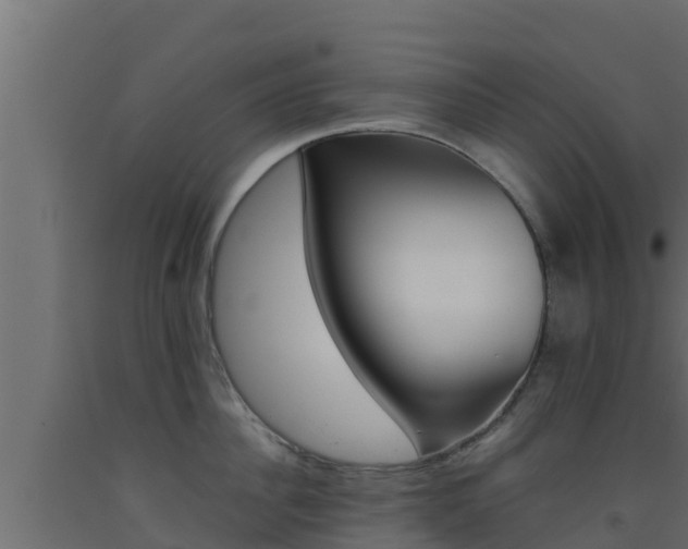 X0000093510956200710121100
