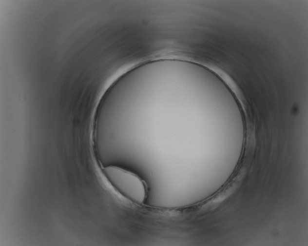 X0000093510957200710121100