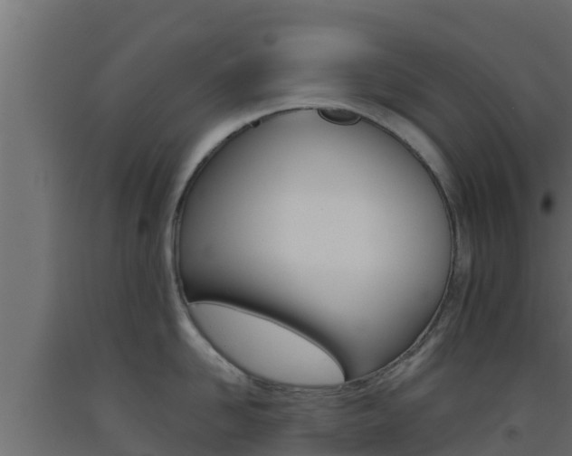 X0000093510958200710121100