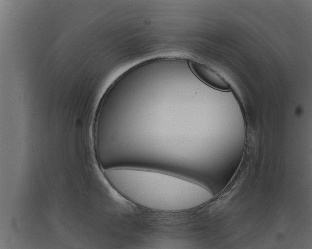 X0000093510959200710121100