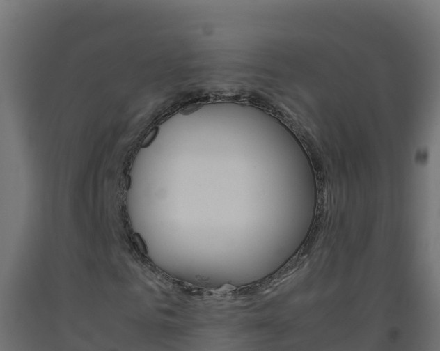 X0000093510961200710121100