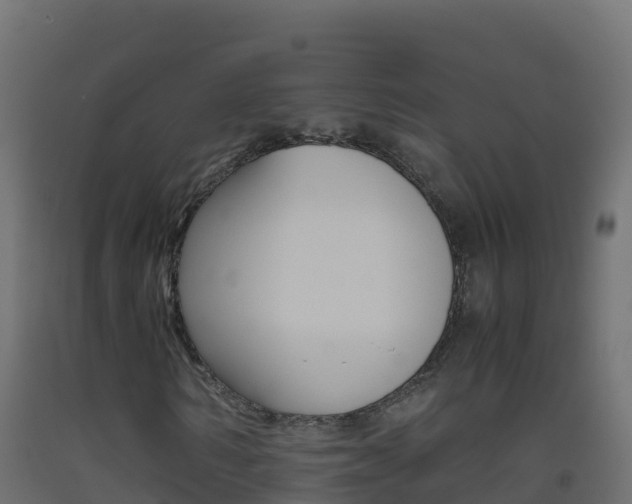 X0000093510962200710121100