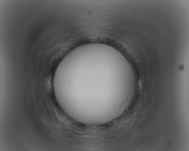 X0000093510963200710121100