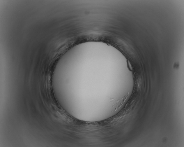 X0000093510964200710121100