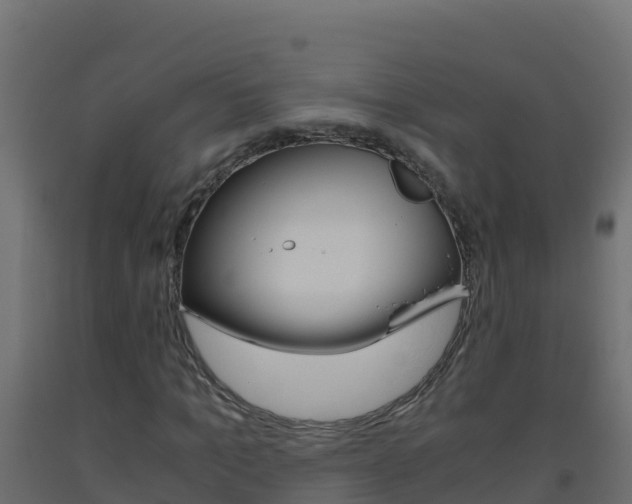 X0000093510965200710121100