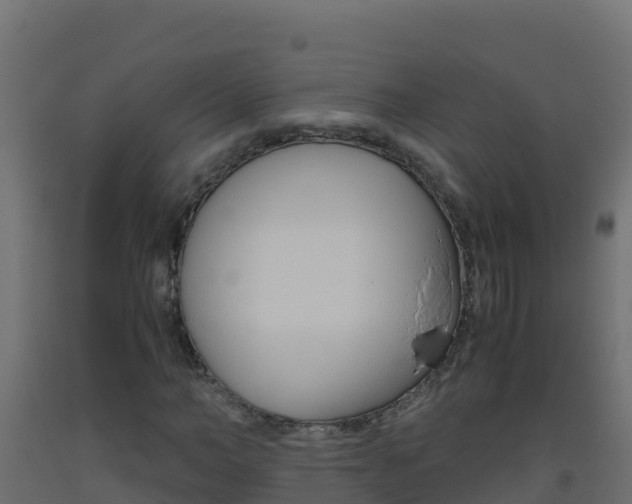 X0000093510966200710121100