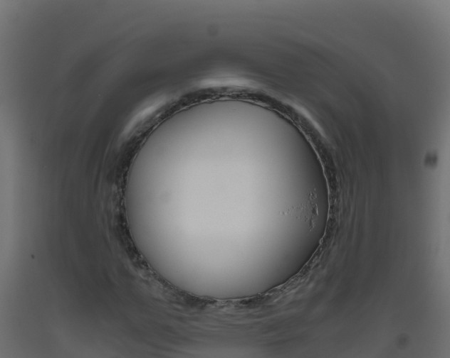 X0000093510967200710121100
