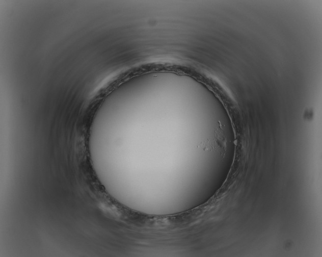 X0000093510968200710121059