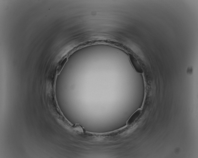 X0000093510969200710121059