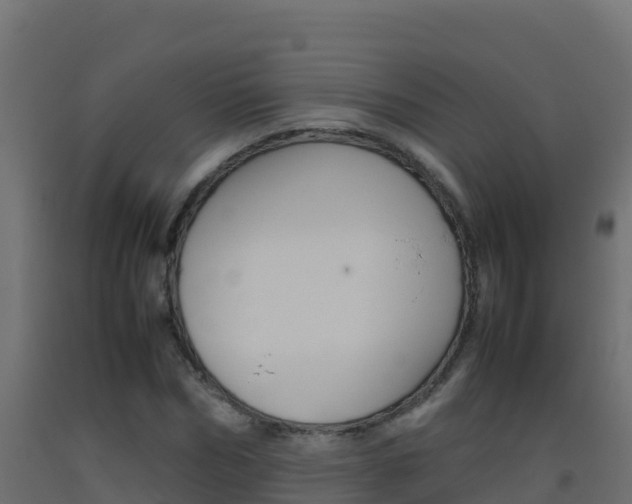 X0000093510970200710121059