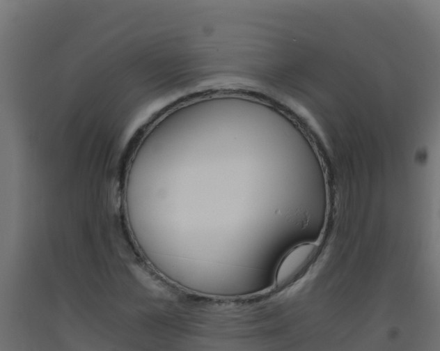X0000093510973200710121059