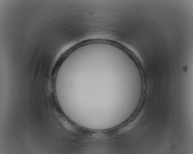 X0000093510974200710121059