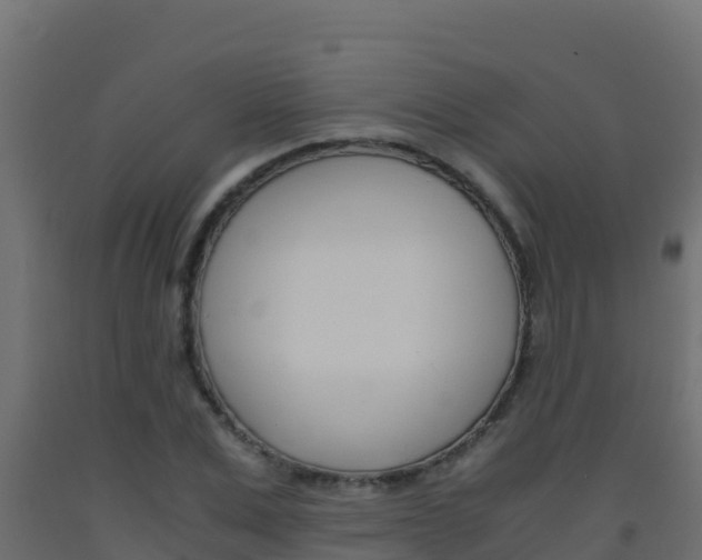 X0000093510975200710121059