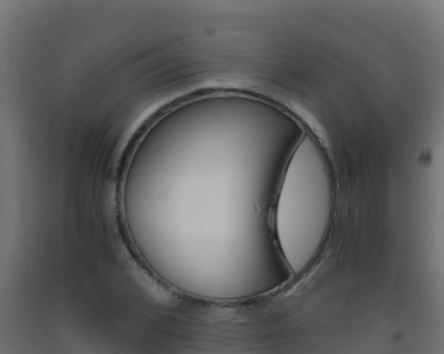 X0000093510976200710121059