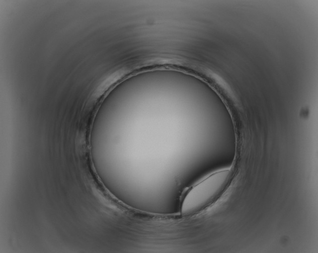 X0000093510977200710121059