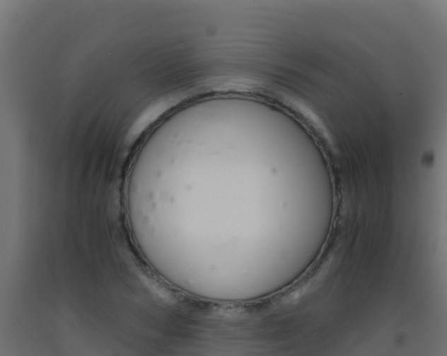 X0000093510978200710121059