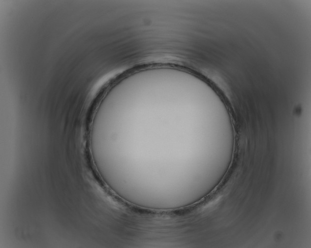 X0000093510979200710121059