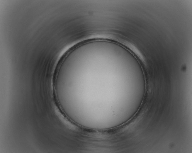 X0000093510980200710121059
