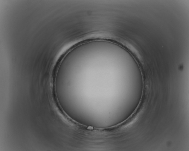 X0000093510981200710121059