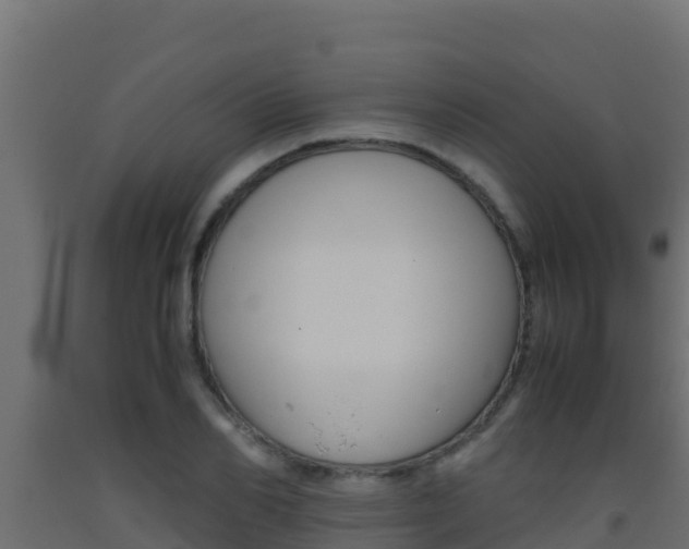 X0000093510982200710121059