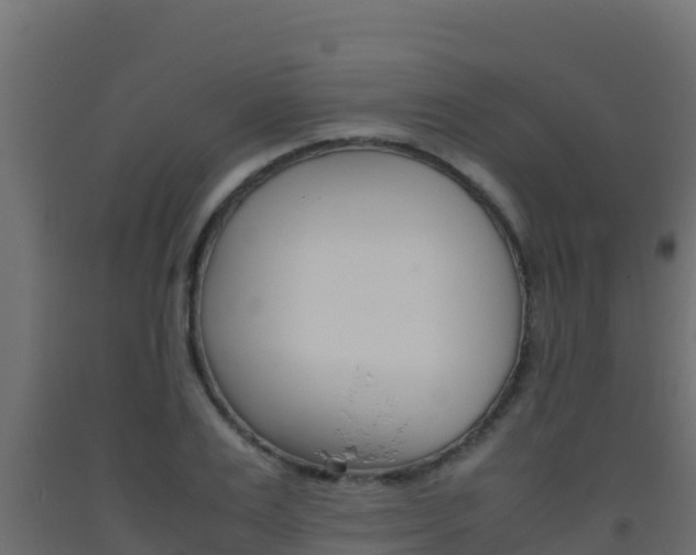 X0000093510983200710121059