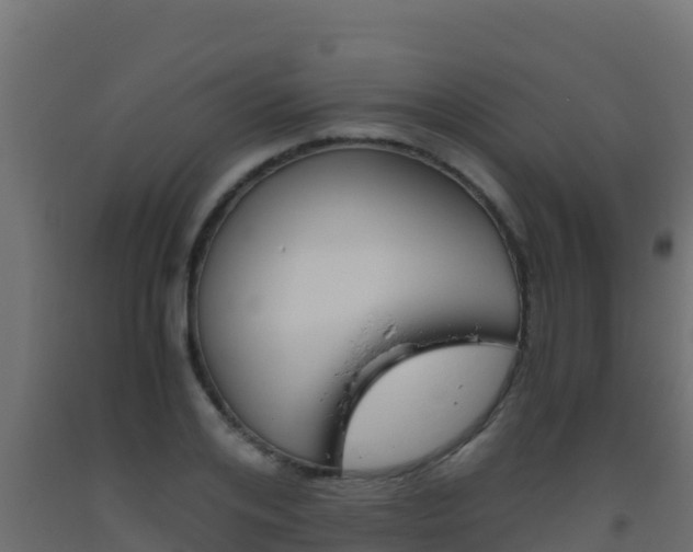 X0000093510984200710121059