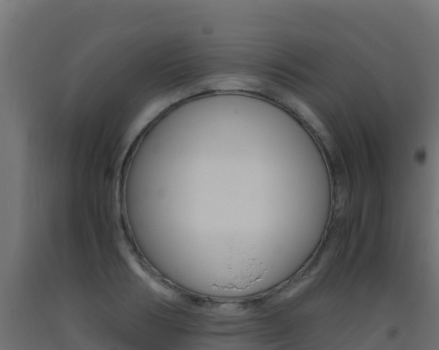 X0000093510986200710121059