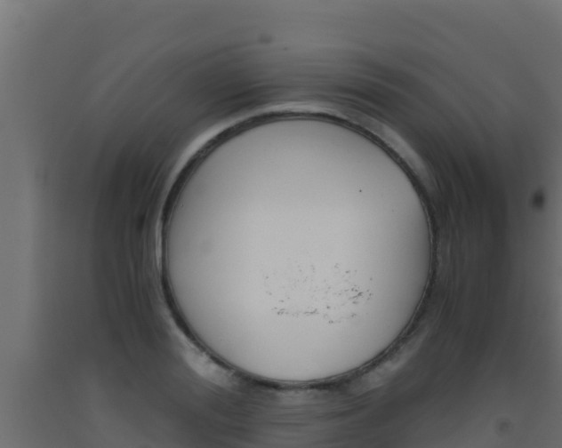 X0000093510988200710121059