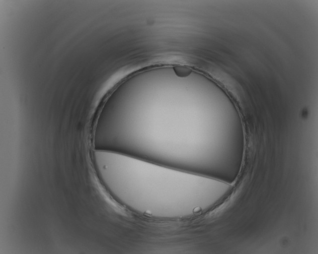 X0000093510989200710121059