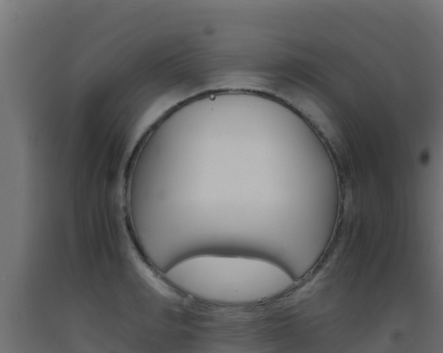 X0000093510990200710121059
