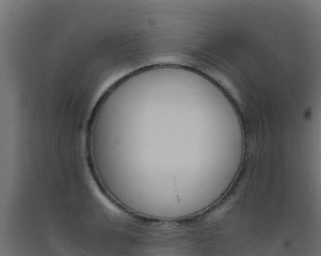 X0000093510991200710121059