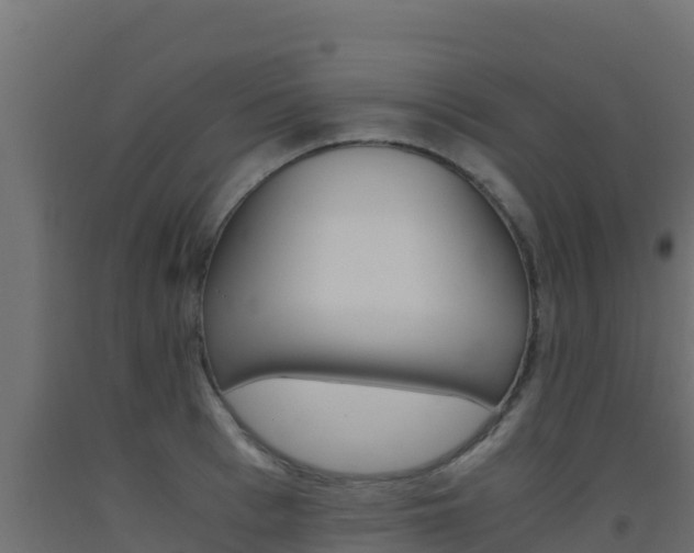 X0000093510993200710121059