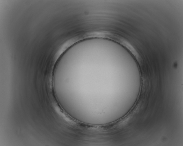 X0000093510994200710121059