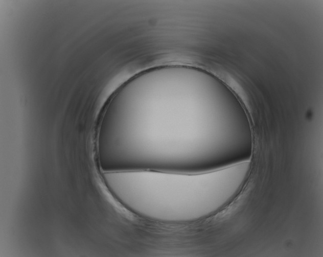X0000093510997200710121059
