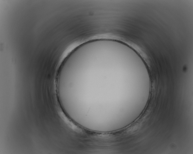 X0000093510998200710121059