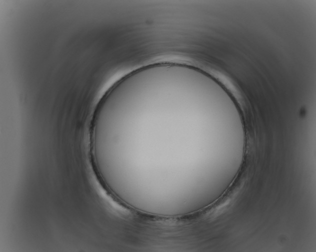 X0000093510999200710121059